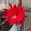cindylapp491 - @cindylapp491 - TikTok