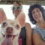 Cindy Largess - @cindylargess - Instagram