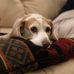 Cindy Larkin - Facebook
