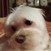 Cindy Larkin - Facebook