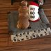 Cindy Larkin - Facebook