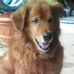 Cindy Larkins - Facebook