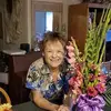 Cindi Laws - @crlaws - TikTok
