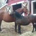Cindy Layton - Facebook