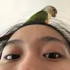 Cindy Lin - @cindy._.lindy - TikTok