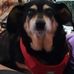 Cindy Lind - Facebook