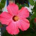 Cindy Lingerfelt - Facebook