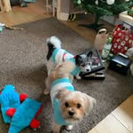 Cindy & Louis - @cindylouis379 - Instagram