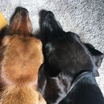 Cindy Loveless - @blueskyyurt - Instagram