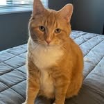 Cindy Loveless Knopps - @cindy.love.k - Instagram