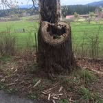 Cindy Lundquist - @cindy.lundquist.7 - Instagram