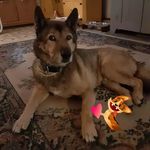 Cindy Mackey - @cindy.mackey.587 - Instagram