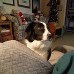 Cindy Mackey - Facebook