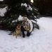 Cindy Marker - Facebook