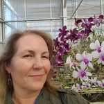 Cindy Markert - @markertcindy - Instagram