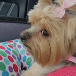 Cindy Markley - @markleycindy - Instagram