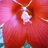 cindy mathes - @cindymathes615 - TikTok