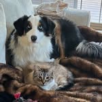 Cindy Mathews - @cindy.mathews.921 - Instagram