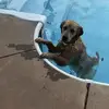 Cindy Mathis - @cindy.mathis - TikTok