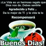 Cindy Mayer - @mayer8931 - Instagram