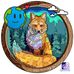 Cindy Mayer - Facebook