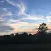 Chiefs fan_59 - @cindymcafee123 - TikTok