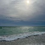 Cindy Harris- McAfee - @cindymcafee - Instagram