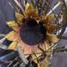 Cindy McAfee - Facebook
