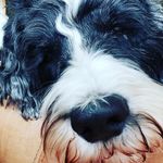 Cindy McCue - @cmccue61 - Instagram