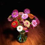 Cindy McCue - @mb1cae - Instagram
