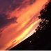 Cindy McCurdy - Facebook