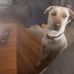 Cindy McCurdy - Facebook