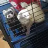Cindy Mcgee - @cindy.mcgee8 - TikTok