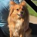 Cindy Maree Mcgregor - Facebook