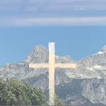 Cindy McGregor - @mcgregorbug - Instagram