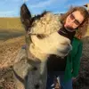 cindymclendon151 - @cindymclendon151 - TikTok