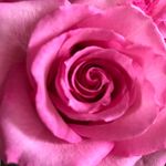 Cindy McMaster - @mcmaster9299 - Instagram