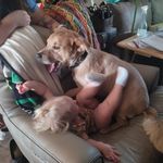 Cindy McMaster - @mcmastercindy - Instagram