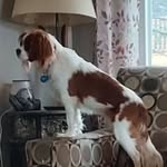Cindy McMasters - @mcmasterscindy - Instagram