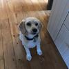 Cindy Canning McMull - @cindycanningmcmullen - TikTok