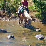 Cindy McMullen - @cind.ymoo49 - Instagram
