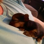 Cindy McNeese - @cinnabearzz - Instagram