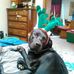 Cindy McNutt - Facebook