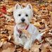 Cindy McVey - Facebook