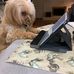 Cindy McWaters - Facebook