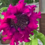 Cindy McWaters - @camcwaters - Instagram