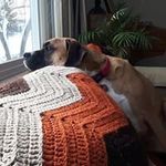 Cindy Meade - @sloanmeade - Instagram