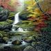 Cindy Mears - Facebook