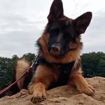 Cindy Meier - @cindy_meier_227 - Instagram