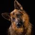 Cindy Meier - Facebook